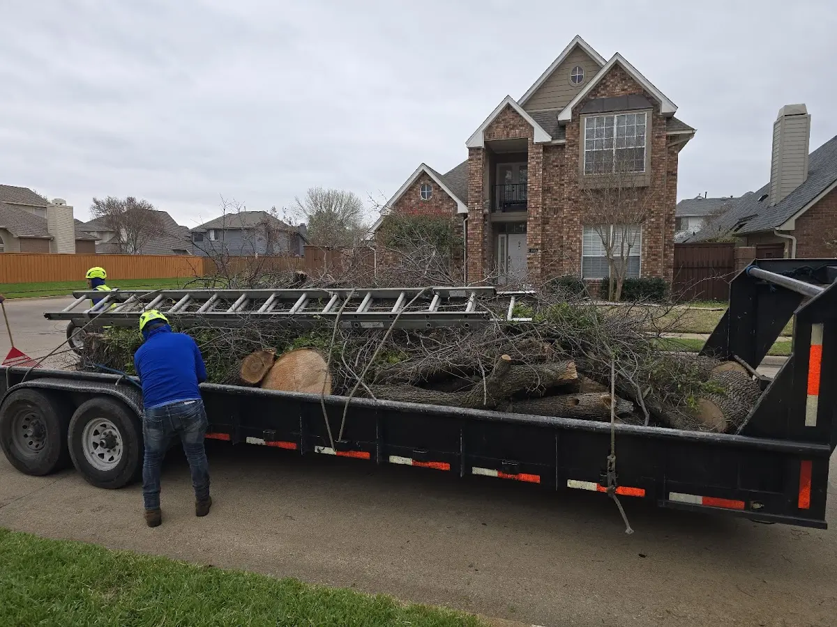 Expert Tree Fertilization with proper safety equipment in Pine Knot